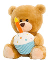 pipp bear happy birthday bear 20cm