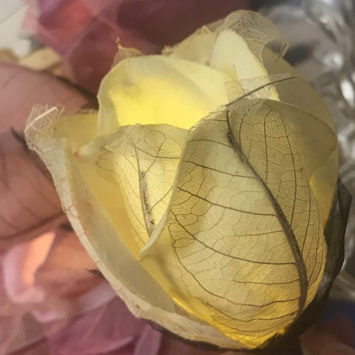 Blaze On Chelsea Rose Fairy Lights (Pink Tones)  20 Warm White LED Lights  Handcrafted Roses Created from Mulberry Paper  USB Powered with UK 3-Pin