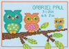 Dimensions "Mini Owl Birth Record" Counted Cross Stitch Kit, Multi-Colour