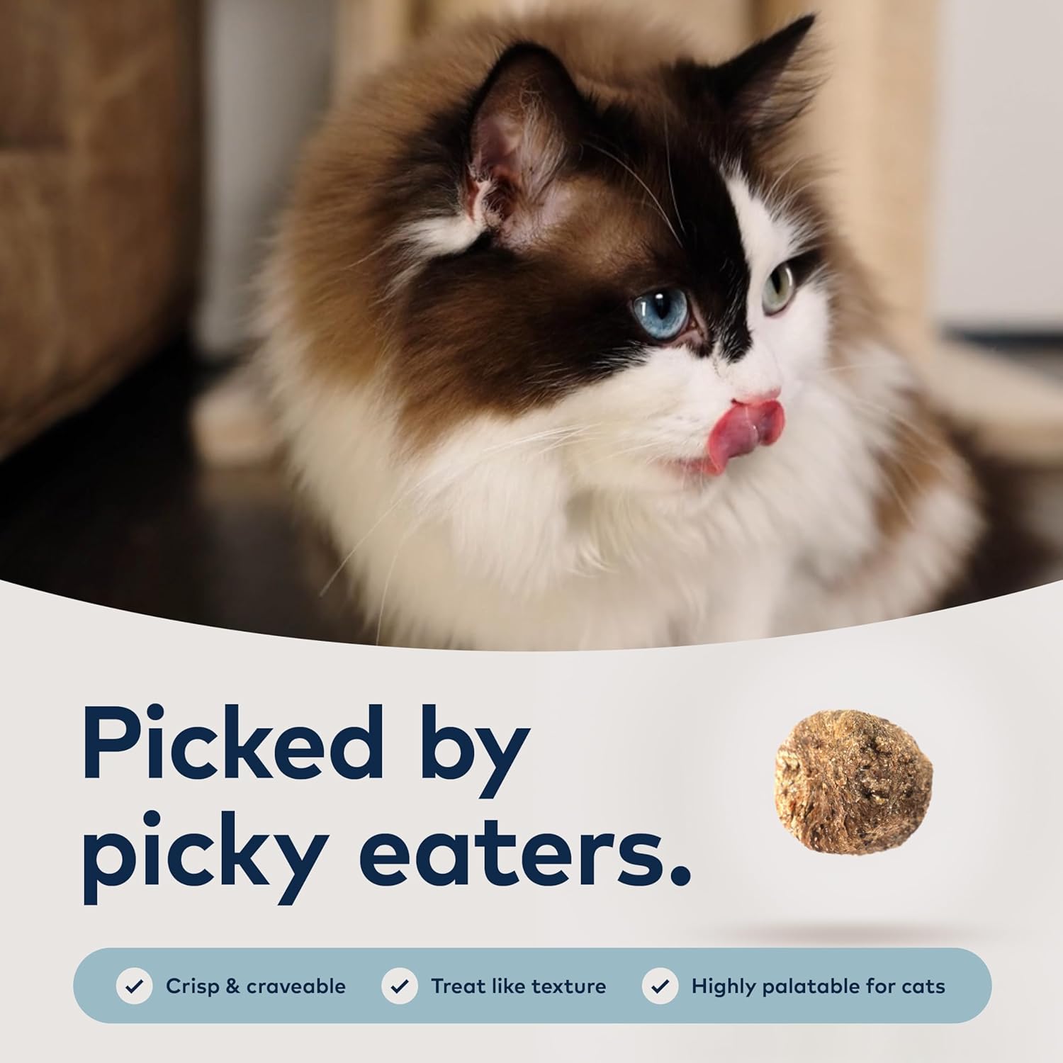 Peak Steam & Dried Cage-free Chicken with Whole Mackerel, 800 g - Natural, High Protein Cat Food Dry, Raw Alternative & Grain Free Complete Dry Cat Food