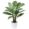 Briful 24.8" Tall Artificial Plants 63CM Large Artificial Calathea Majestica Exotica Fake Plants House Plant Large Artificial Plants Indoors in Pots