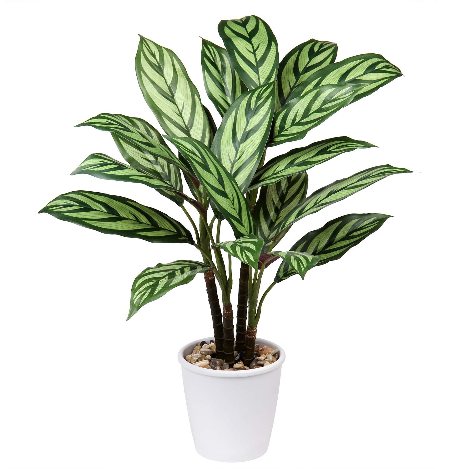 Briful 24.8" Tall Artificial Plants 63CM Large Artificial Calathea Majestica Exotica Fake Plants House Plant Large Artificial Plants Indoors in Pots