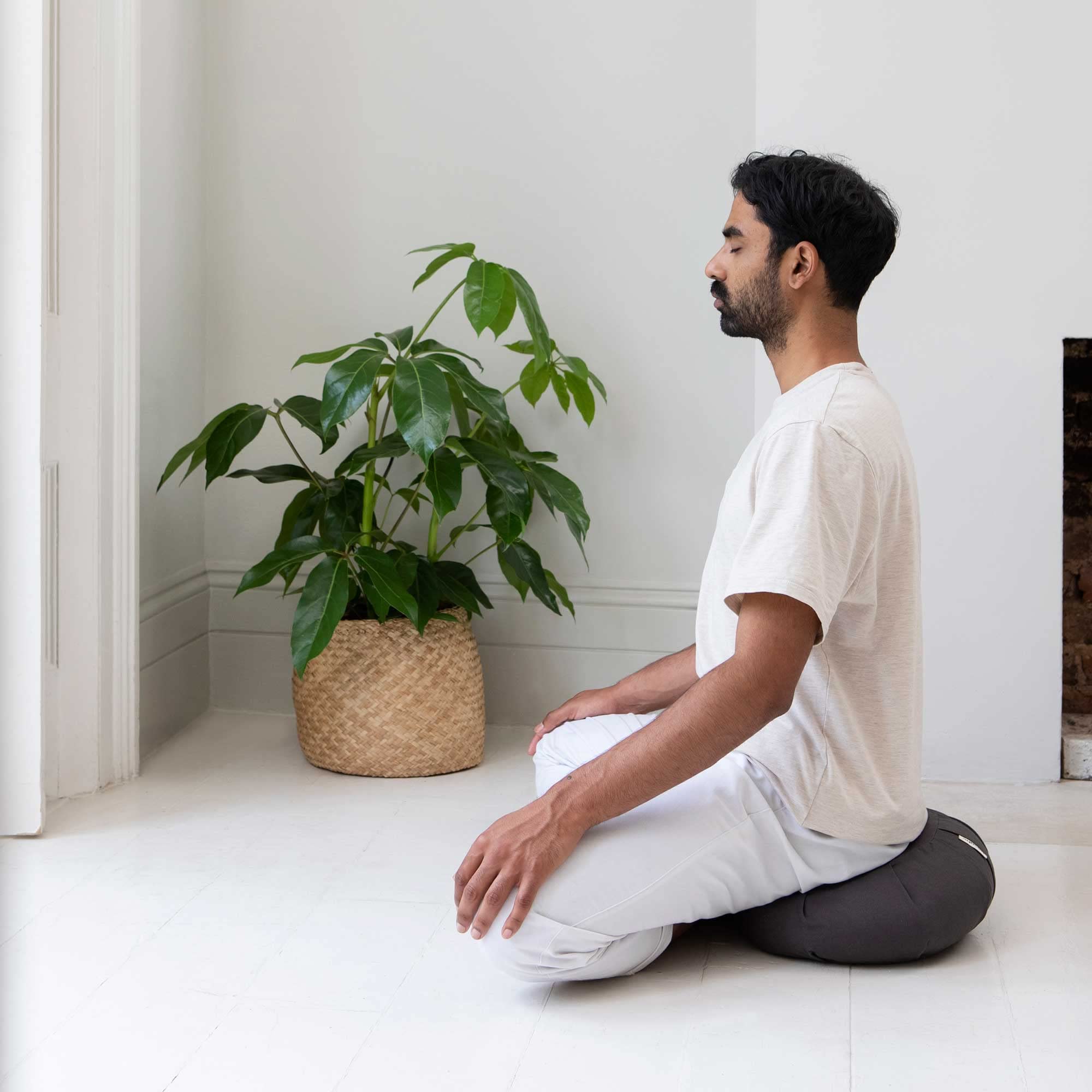 basaho CRESCENT Zafu Meditation Cushion | Organic Cotton | Buckwheat Hulls | Removable Washable Cover (Midnight Blue)
