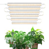 Barrina T5 1FT Grow Lights for Indoor Plants, Yellow, Full Spectrum Sunlight, 30W(6 x 5W) Linkable Indoor Plant Lights, LED Grow Light Strip with