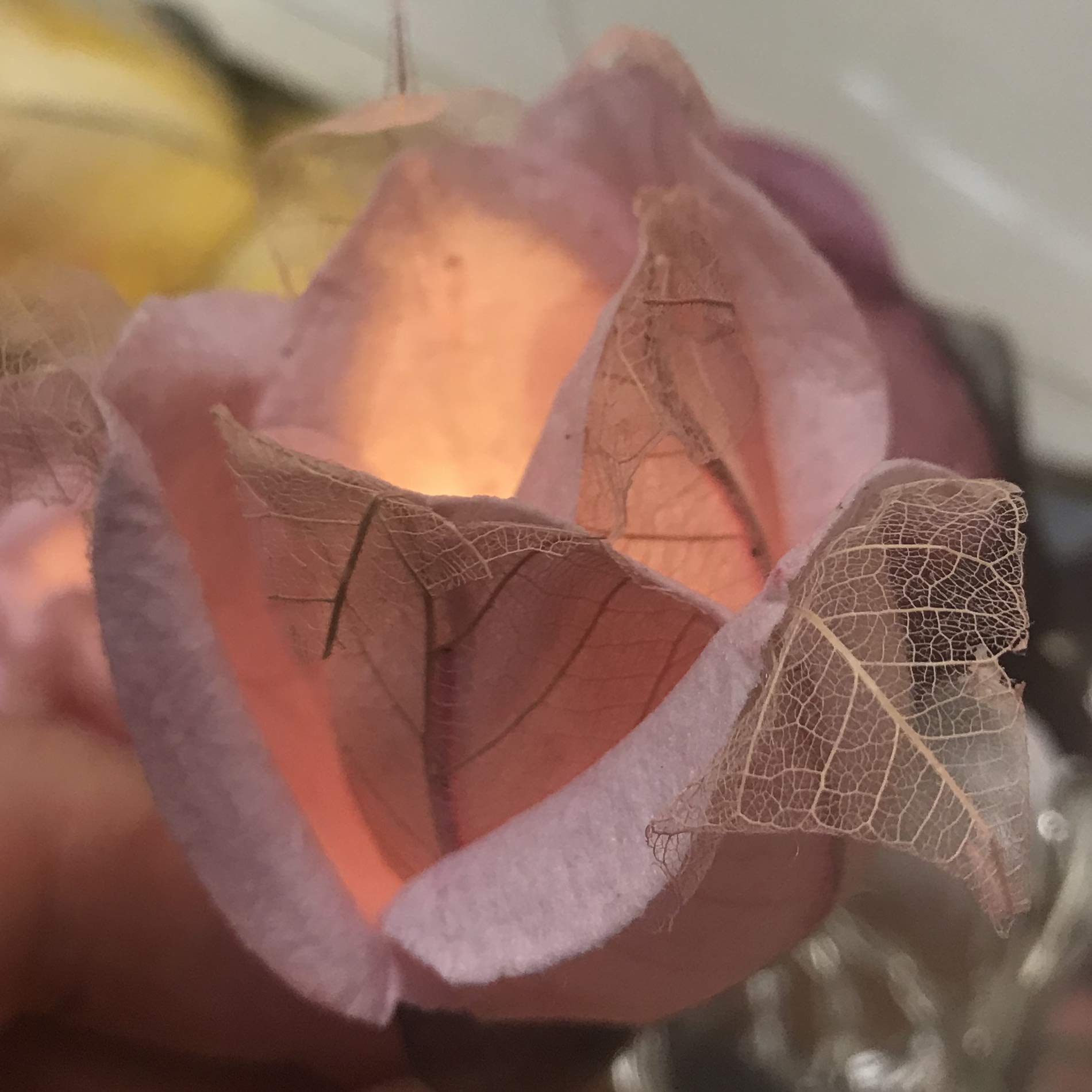 Blaze On Chelsea Rose Fairy Lights (Pink Tones)  20 Warm White LED Lights  Handcrafted Roses Created from Mulberry Paper  USB Powered with UK 3-Pin