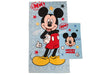 Mickey Mouse Disney Terry Bath Towels, Set of 2 Bath Towels, Face Towel, Bidet Towel, Light Blue, Cotton, 100 Percent, Set of 2, Official Product