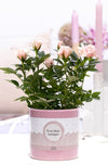 Rose Bm Licht Roze Keramiek Tu Es Fleurtastique