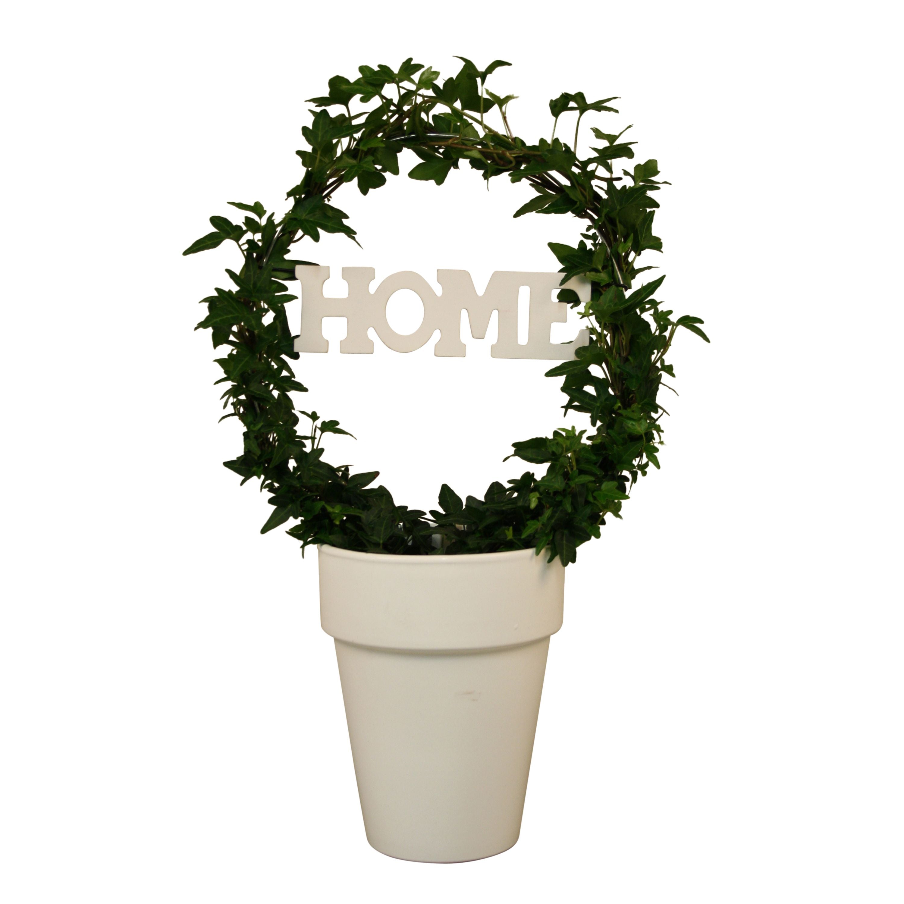 Hed He Groen Boog Keramiek + Home