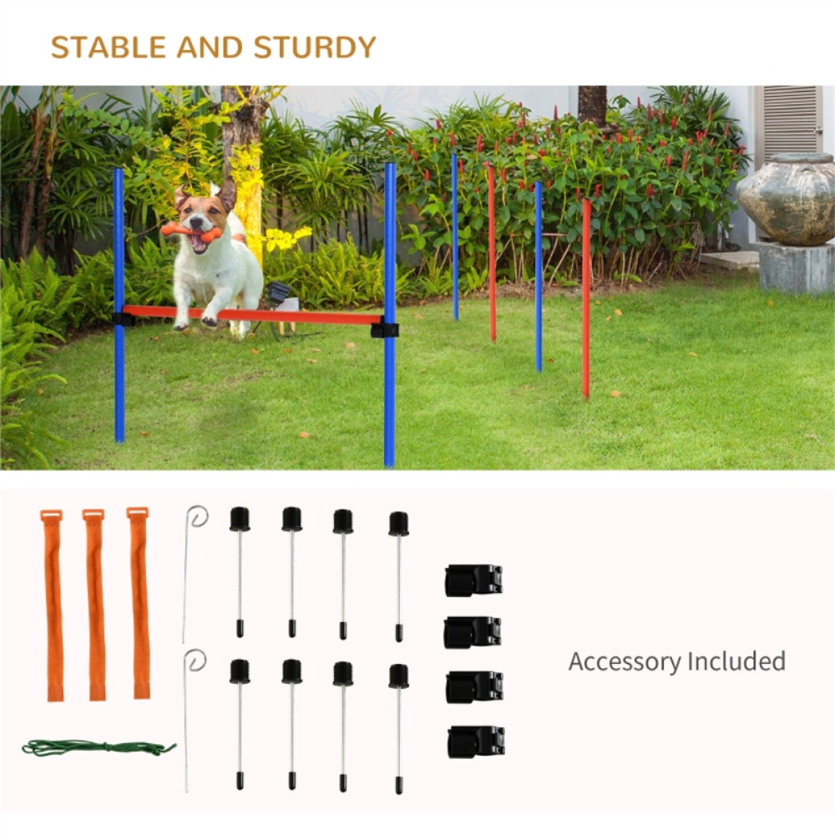 Dog agility training equipment
