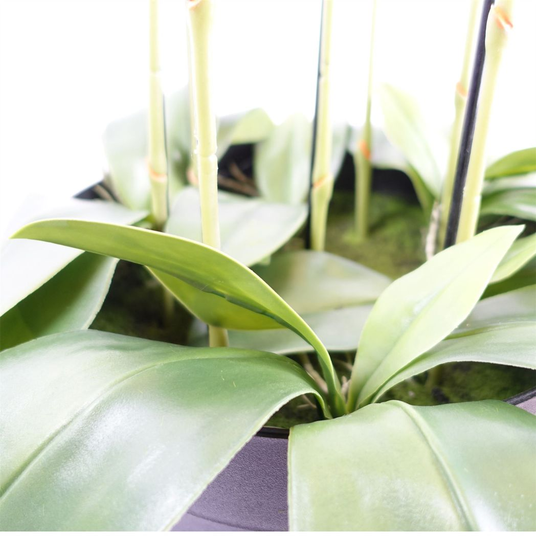 150cm Giant Pink Orchid Plant Artificial 189 flowers REAL TOUCH
