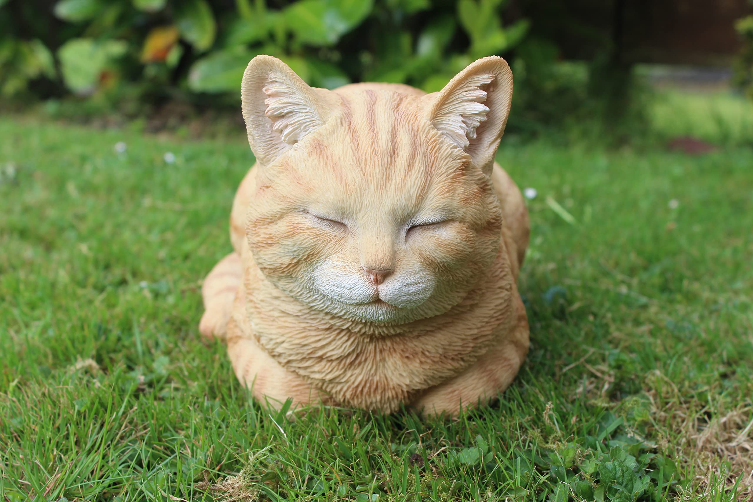 Vivid Arts Ginger Dreaming Cat Resin Ornament
