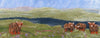 Artfelt Scottish Landscape Picture Felt kit with Highland Cattle- a Carefully Designed Felting kit to Make a Felted Scottish Landscape with Online