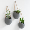 Kazai. Wall Planters -Ellie- | Hanging Ceramic Plant Pots, 3 Pieces, for Succulents and more | Wall Decoration for Indoors, Balcony and Garden | Grey