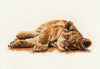 DMC Mischief 14 Count Cross Stitch Kit, Multi-Colour