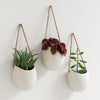 Kazai. Wall Planters -Ellie- | Hanging Ceramic Plant Pots, 3 Pieces, for Succulents and more | Wall Decoration for Indoors, Balcony and Garden | Cream