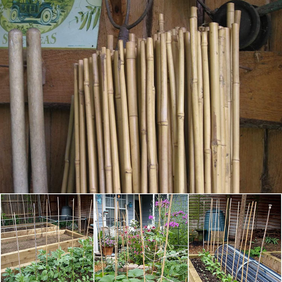 ONE PIECE 2ft (60cm) Bamboo cane
