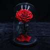 Glass Cover Tanabata Valentine's Day Immortal Rose Gift