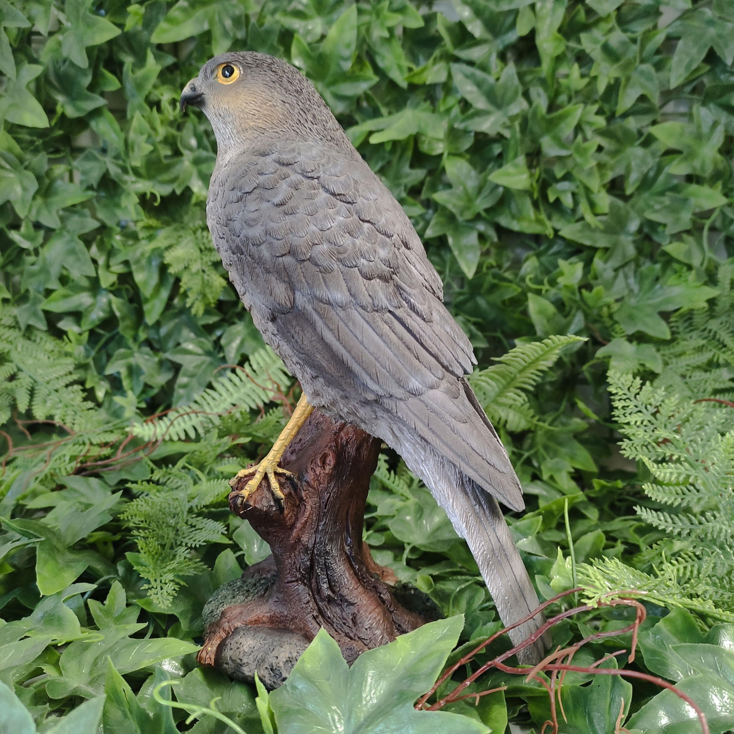 Vivid Arts Sparrow Hawk Resin Home or Garden Ornament (XRL-SHAW-D)