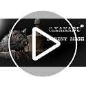 C&Xanadu 200mmX6m Rodent Mesh Sheet,Welded Steel Mesh Panels,Hot Dip Galvanised Wire Netting Fence Mesh-Stop & Prevent Rat & Mouse and Snake Through