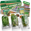 ZenGreens Organic sprout jar set incl. sprout seeds, sprout tray & video course - set of 1, 2 or 3 - sprout jar set - sprout glass - sprout tray -