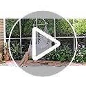 Chihee Hammock Chair Swing Chair Strong Metal Collapsible Spreader Bar Portable Hanging Chair Max 330 lbs Comfy Seat Patio Lawn Chair Cotton Blended for Superior Comfort Durability Indoor Outdoor