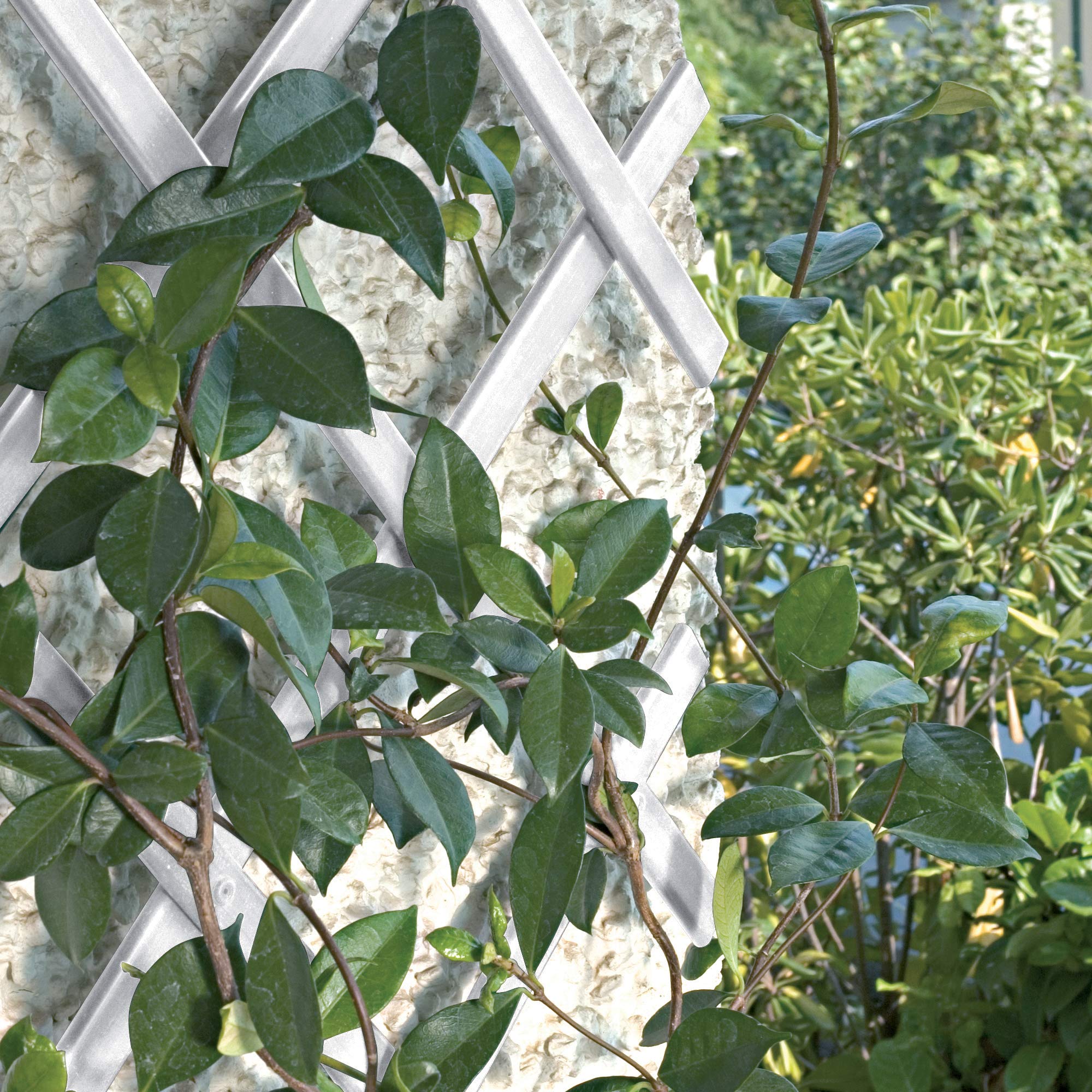Trepls Extendable PVC Trellis 1,00x3 m Bianco