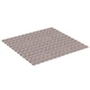 TATAY Bath Mat, Non-slip, PVC with Suction Cups, Resistant to Mold and Microbes, Anti-Bacterial, Pisces Design, Taupe. Measures 54 x 54 cm