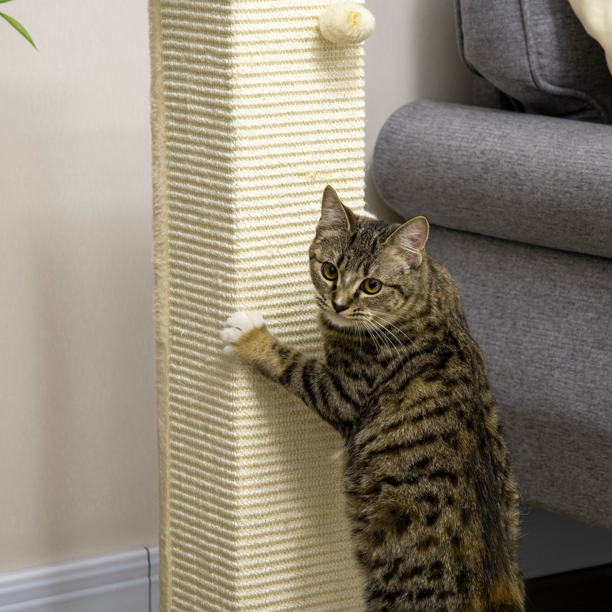 Premium 80cm Sisal Rope Cat Scratching Post - Durable & Interactive Toy Ball
