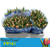 Tulip Fr Crispa Leen