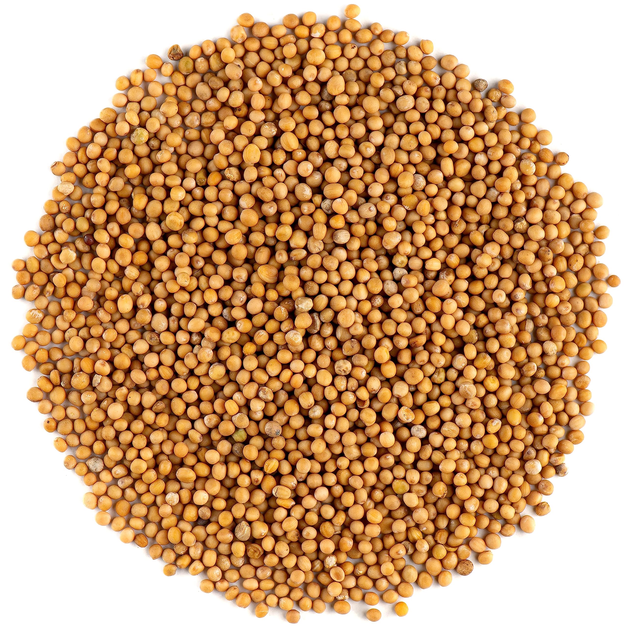 Yellow Mustard Seeds Whole - White Mustard Seed Spicy Ingriedient - 700g