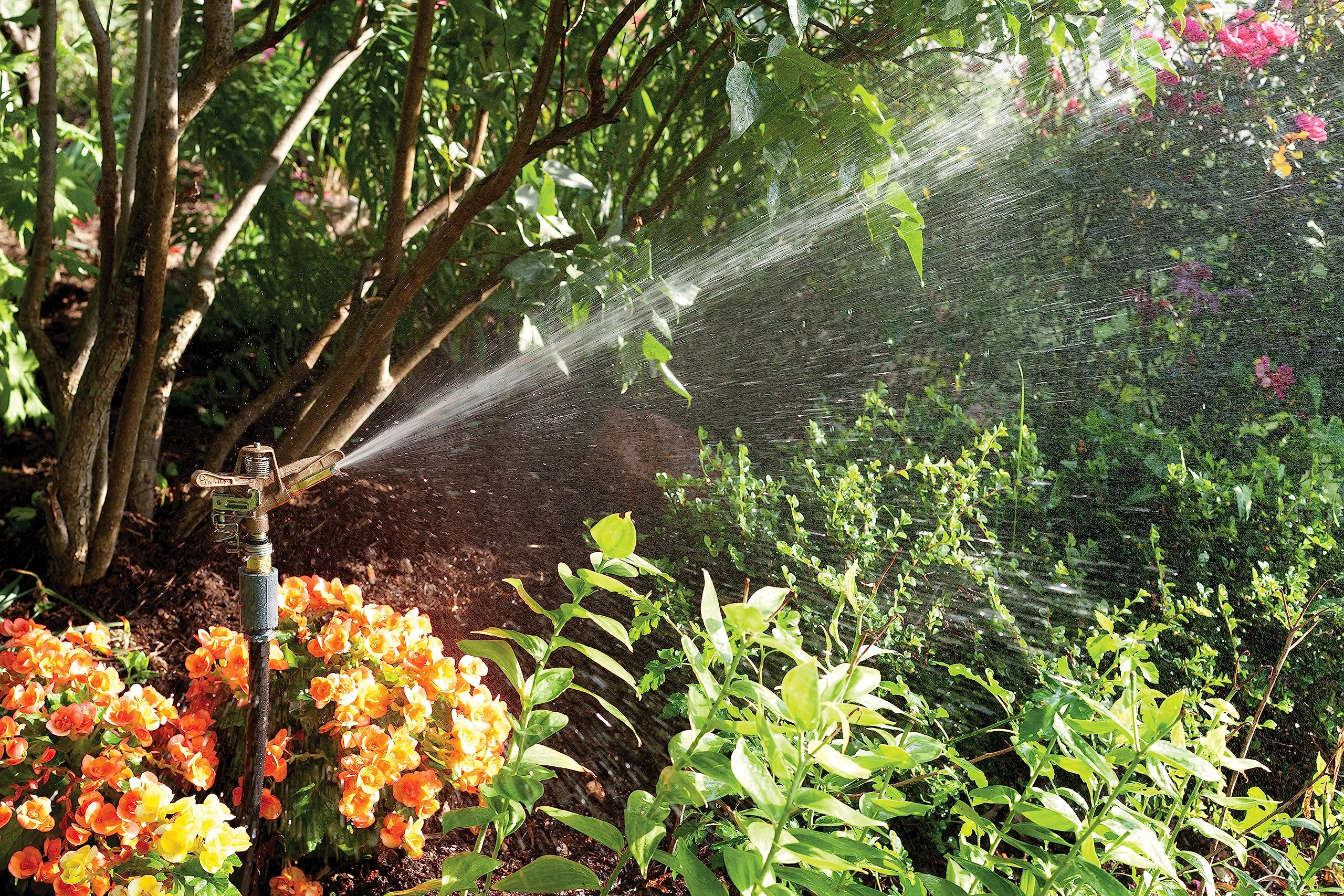 Rain Bird 35ADJTNTB Brass Impact Sprinkler, Adjustable 0? - 360? Pattern, 23' - 50' Spray Distance