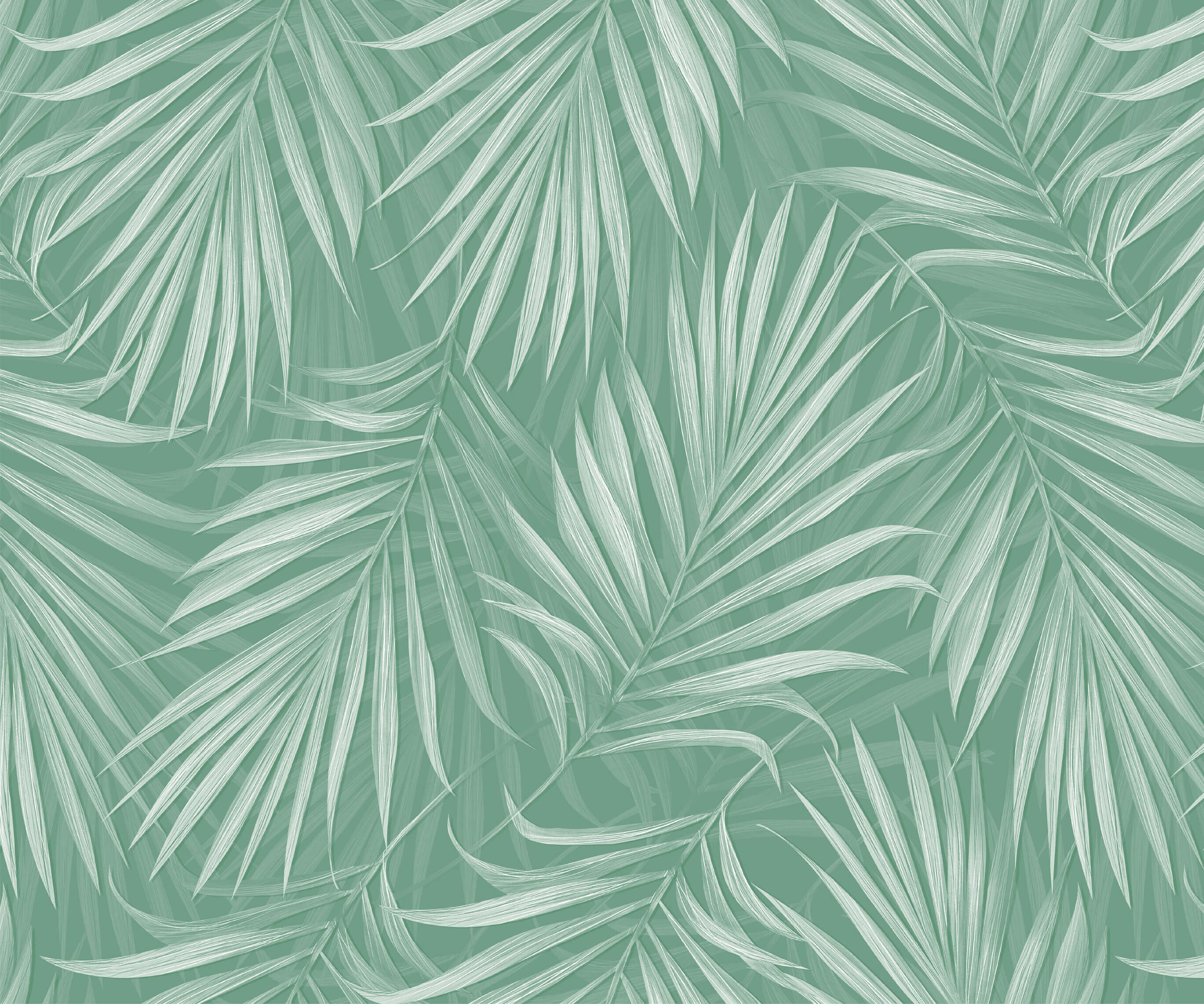Areca