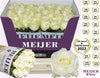 Rose Avalanche Meijer