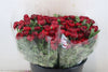 Ranunculus Elegance Red Ex