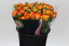 Ranunculus Orange Wholesalers Choice