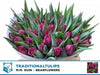 Tulip Du Alison Bradley