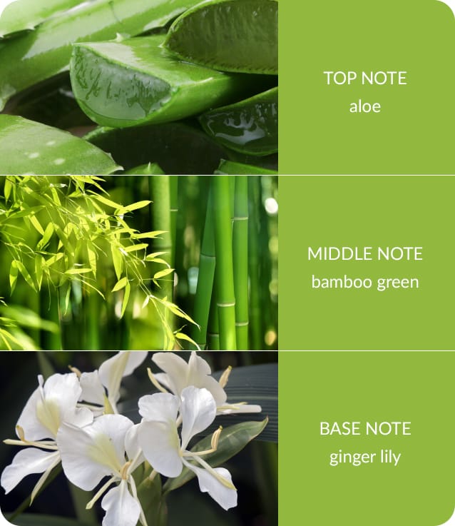 Bamboo & Ginger Lily Large Soy Candle  - 40 Hours Burn - Crackling Wick