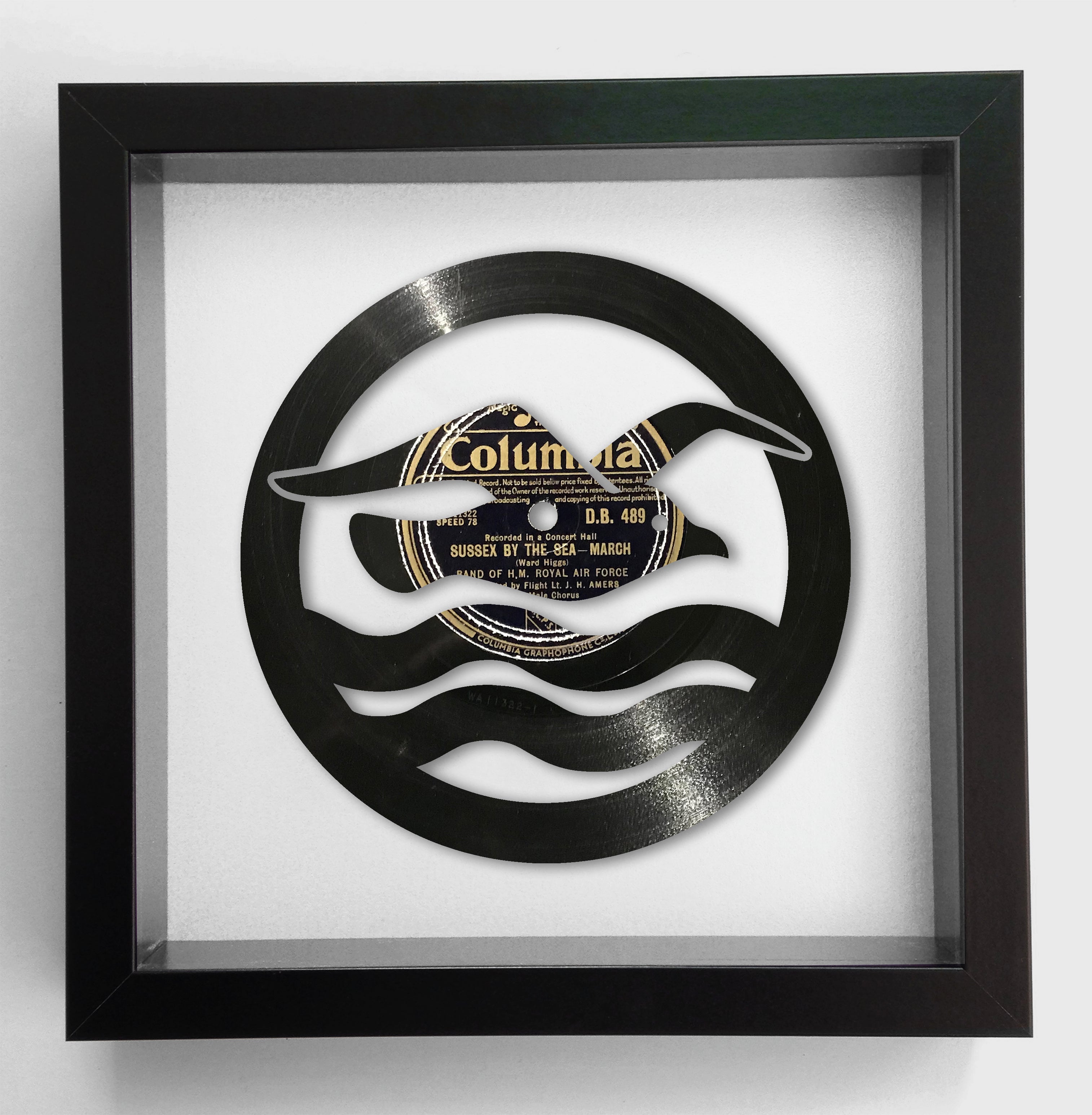 Brighton & Hove Albion Football Club - Sussex By The Sea - Original Vinyl Record Art