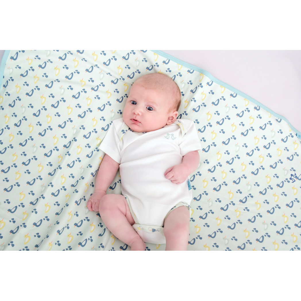 2 pack vest set - boys duck print