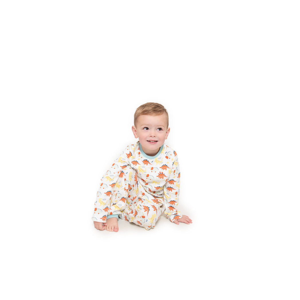 Toddler boy pyjamas - dinosaur print