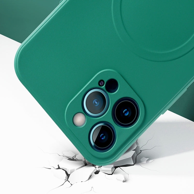 Liquid Silicone Full Coverage Magsafe Phone Case, For iPhone 12 Pro Max, For iPhone 11, For iPhone 11 Pro
