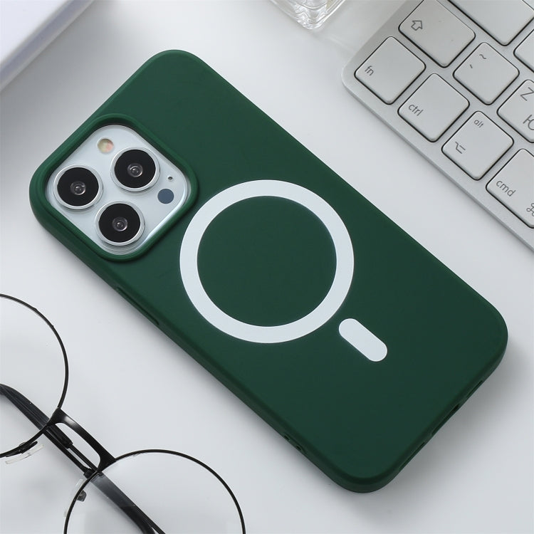 Silicone Magsafe Phone Case, For iPhone 13 mini, For iPhone 12 Pro Max, For iPhone 13 Pro