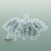 Dried Pepper Berries Silver