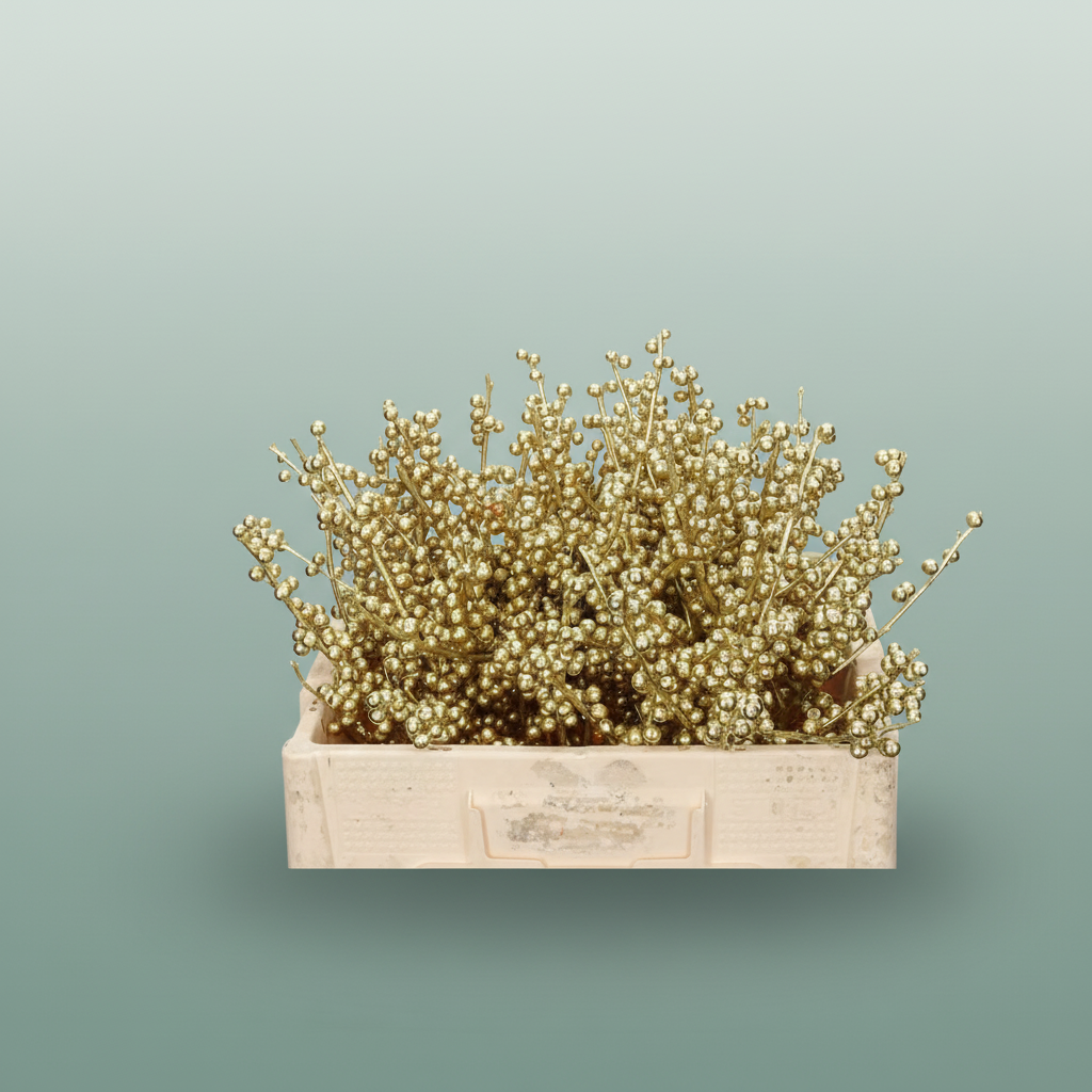 Wax Ilex Xl