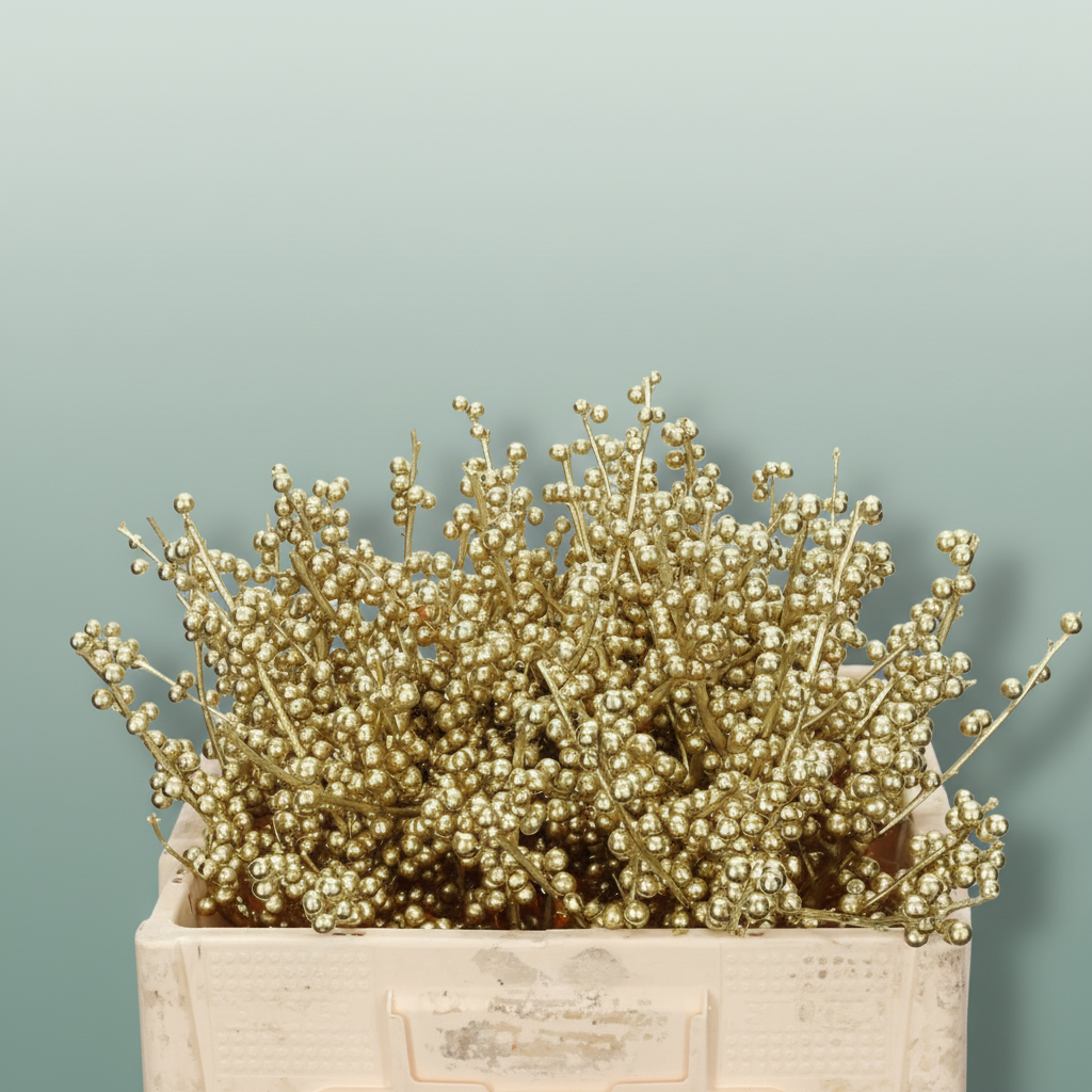 Wax Ilex Xl