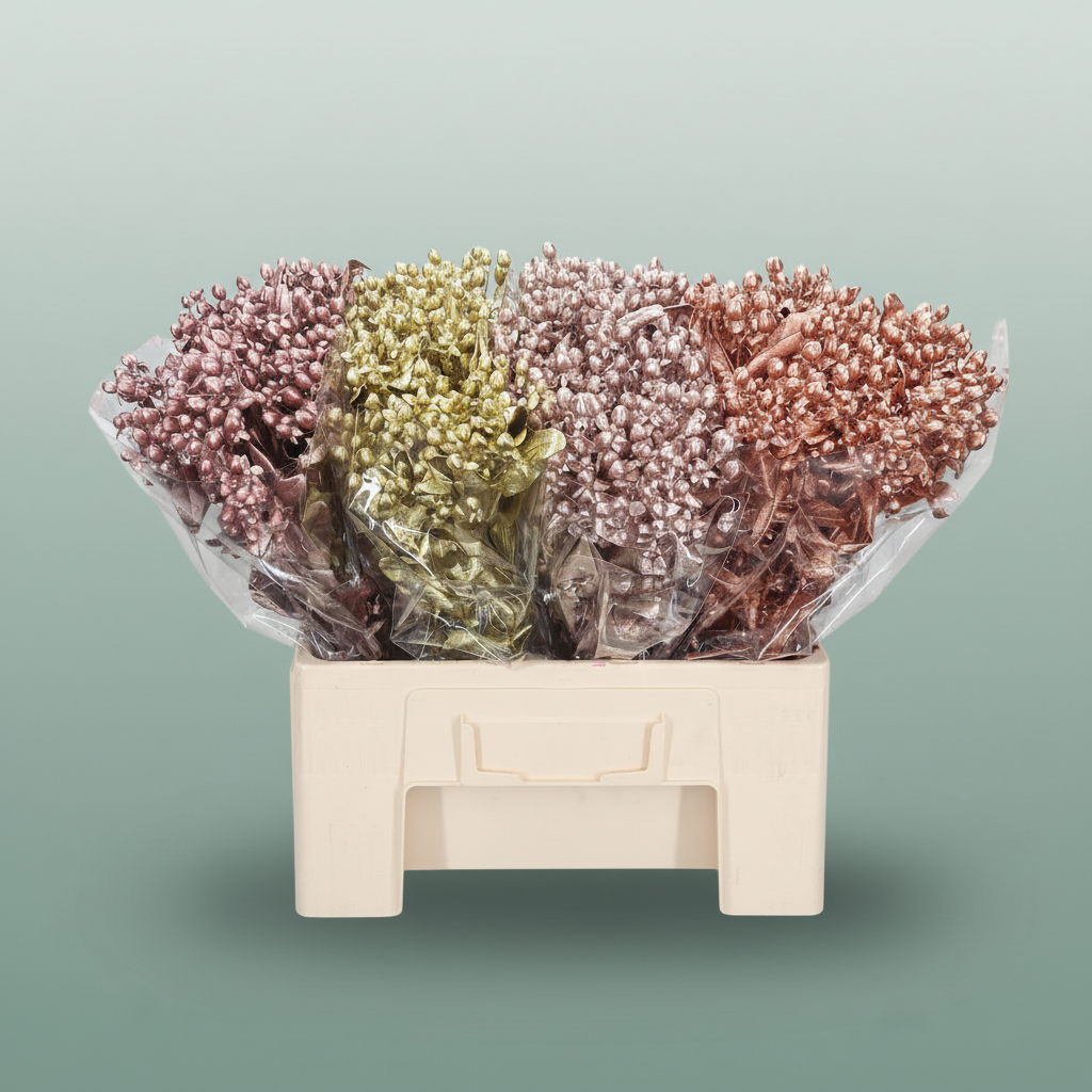 Wax Hydrangea