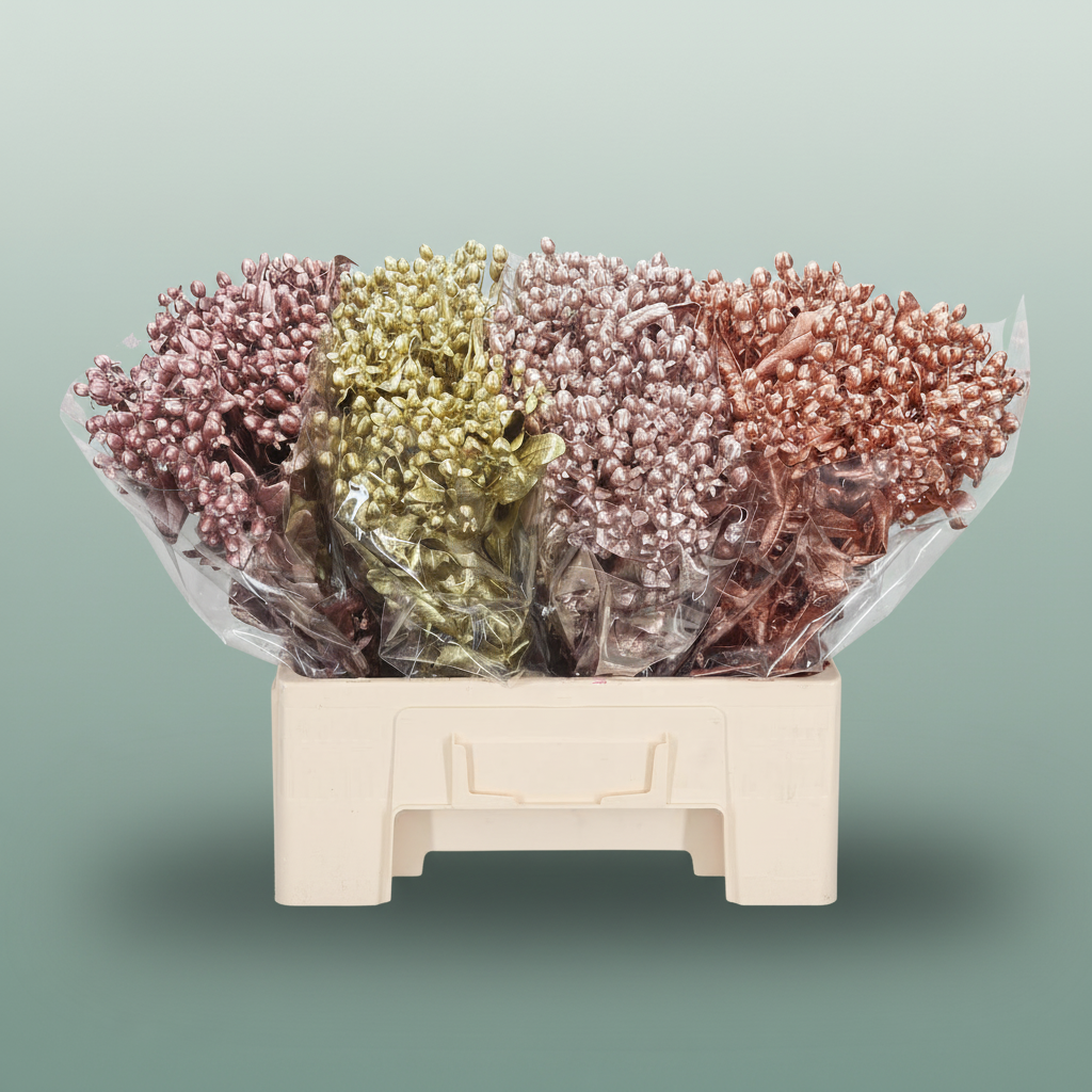 Wax Hydrangea