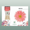 Gerbera Spider Emotion