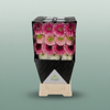 Gerbera Mixed Ball
