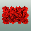 Rose Preserved Mini Red Scarlet